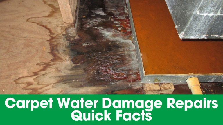 Carpet Water Damage Repairs Quick Facts