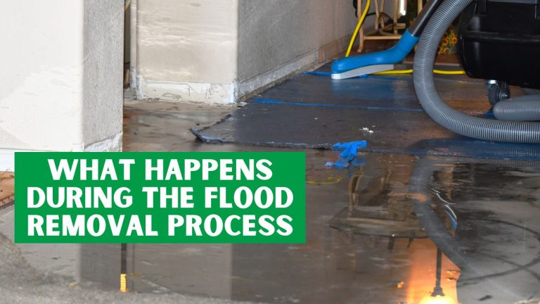 What Happens During The Flood Removal Process